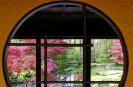 日本古典園林五大特點：清純、自然、小巧、佛禪印象和枯山水