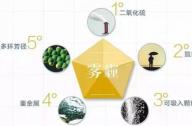最吸霧霾的植物有哪些？