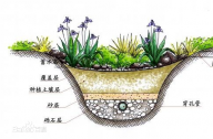 什么是雨水花園？雨水花園和普通花園有什么區(qū)別？